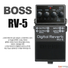 (지엠뮤직) RV5 DIGITAL REVERB
